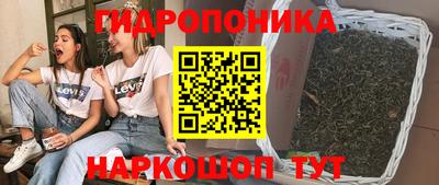 гашик Ставрополь