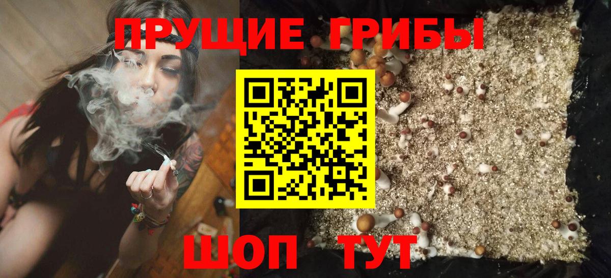 Псилоцибиновые грибы мухоморы  Вход с VPN  Псилоцибиновые грибы Psilocybine cubensis  Нальчик 