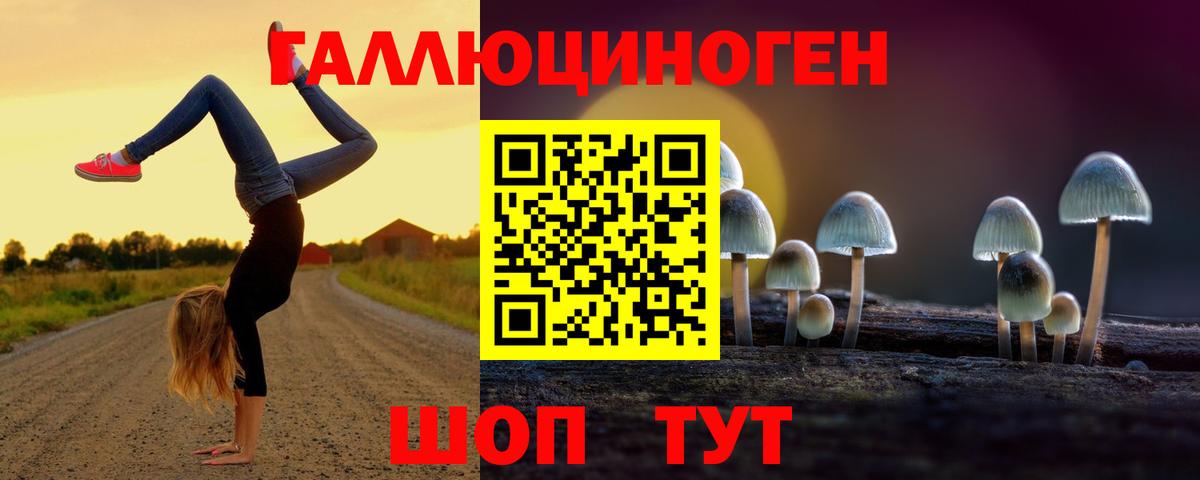 Псилоцибиновые грибы ЛСД Нальчик